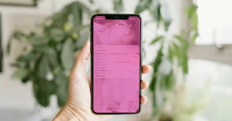 Nguyên nhân khiến màn hình iPhone bị ám màu hồng?