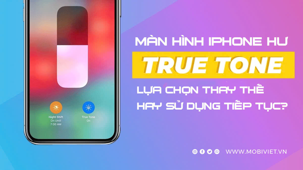 Màn hình iPhone hư True Tone: Lựa chọn thay thế hay sử dụng tiếp tục?