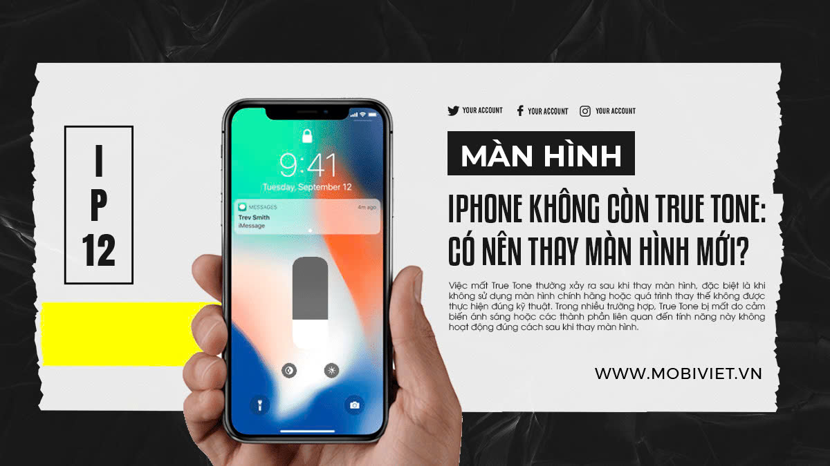 Màn hình iPhone không còn True Tone: Có nên thay màn hình mới?