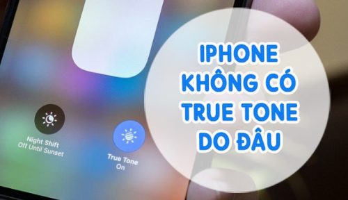 Màn hình iPhone hư True Tone: Lựa chọn thay thế hay sử dụng tiếp tục?