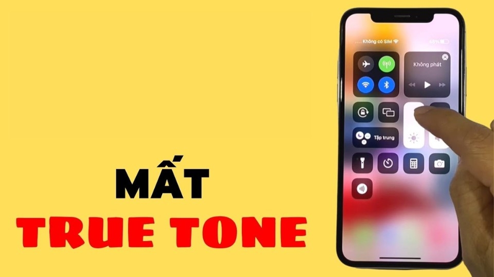 Màn hình iPhone không còn True Tone: Có nên thay màn hình mới?