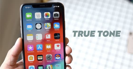 Giải pháp cho màn hình iPhone bị mất True Tone: Sửa chữa hay thay thế?